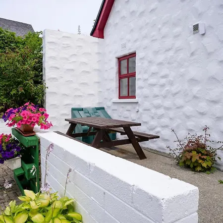 Central Dingle Cottage דינגל